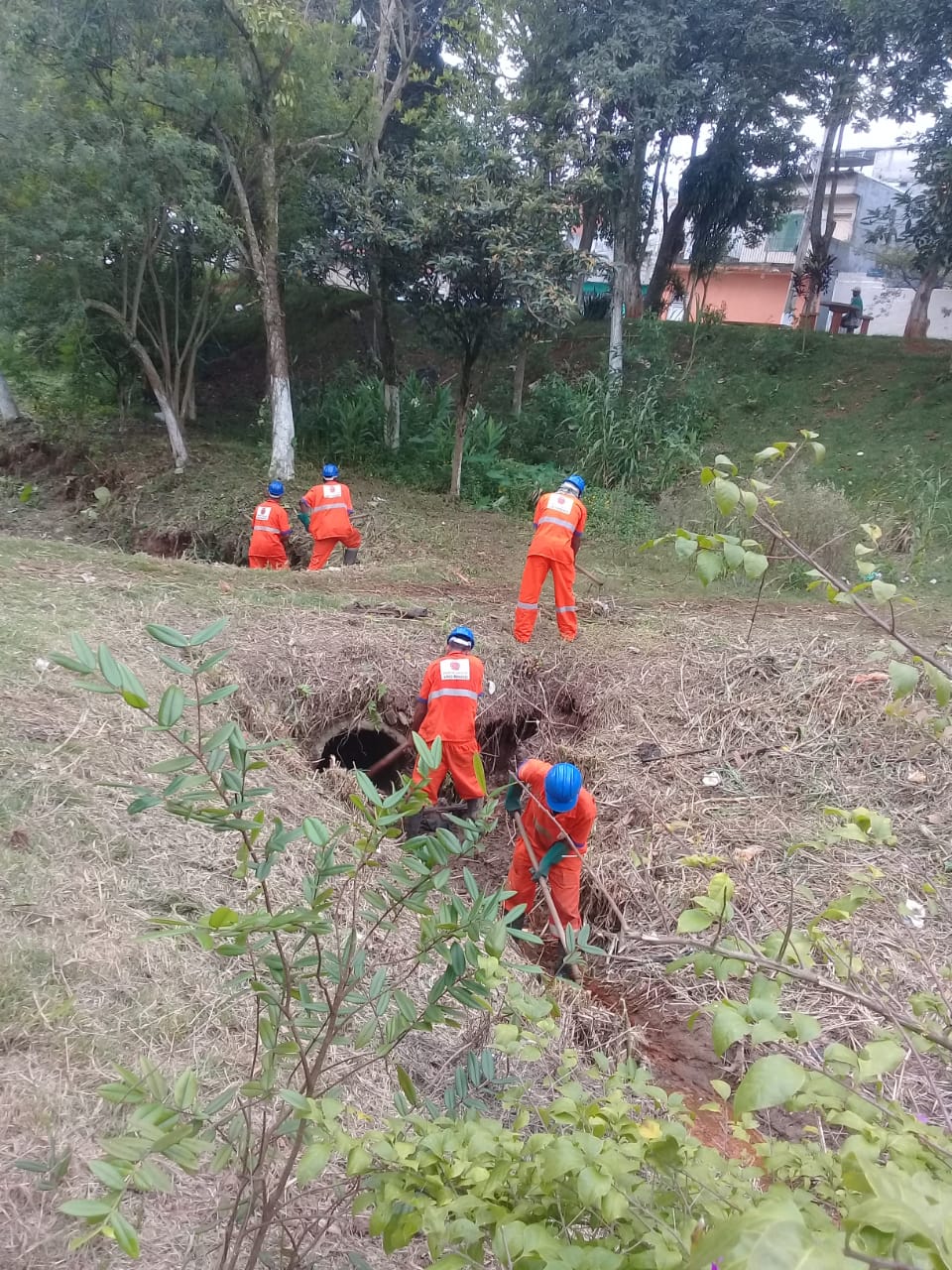 Cinco trabalhadores estão na etapa final de limpeza da área verde ao lado da rua João Carlos Ferreira, Parque Boa Esperança.